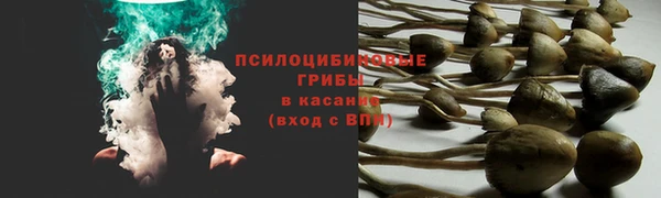 мяу мяу мука Надым