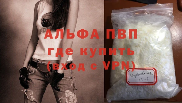 мяу мяу мука Надым